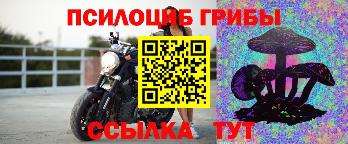 Галлюциногенные грибы MAGIC MUSHROOMS  Вход с VPN  Алапаевск 